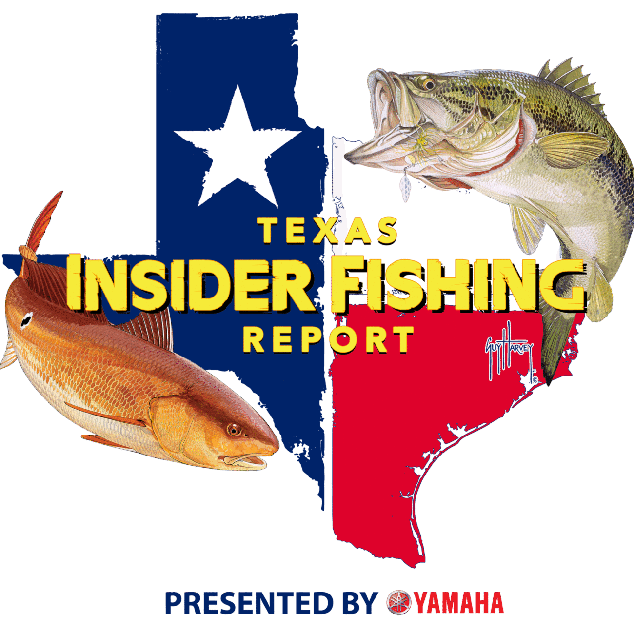 Key West Marlin Tournament - Marlin & Fun Fish Division